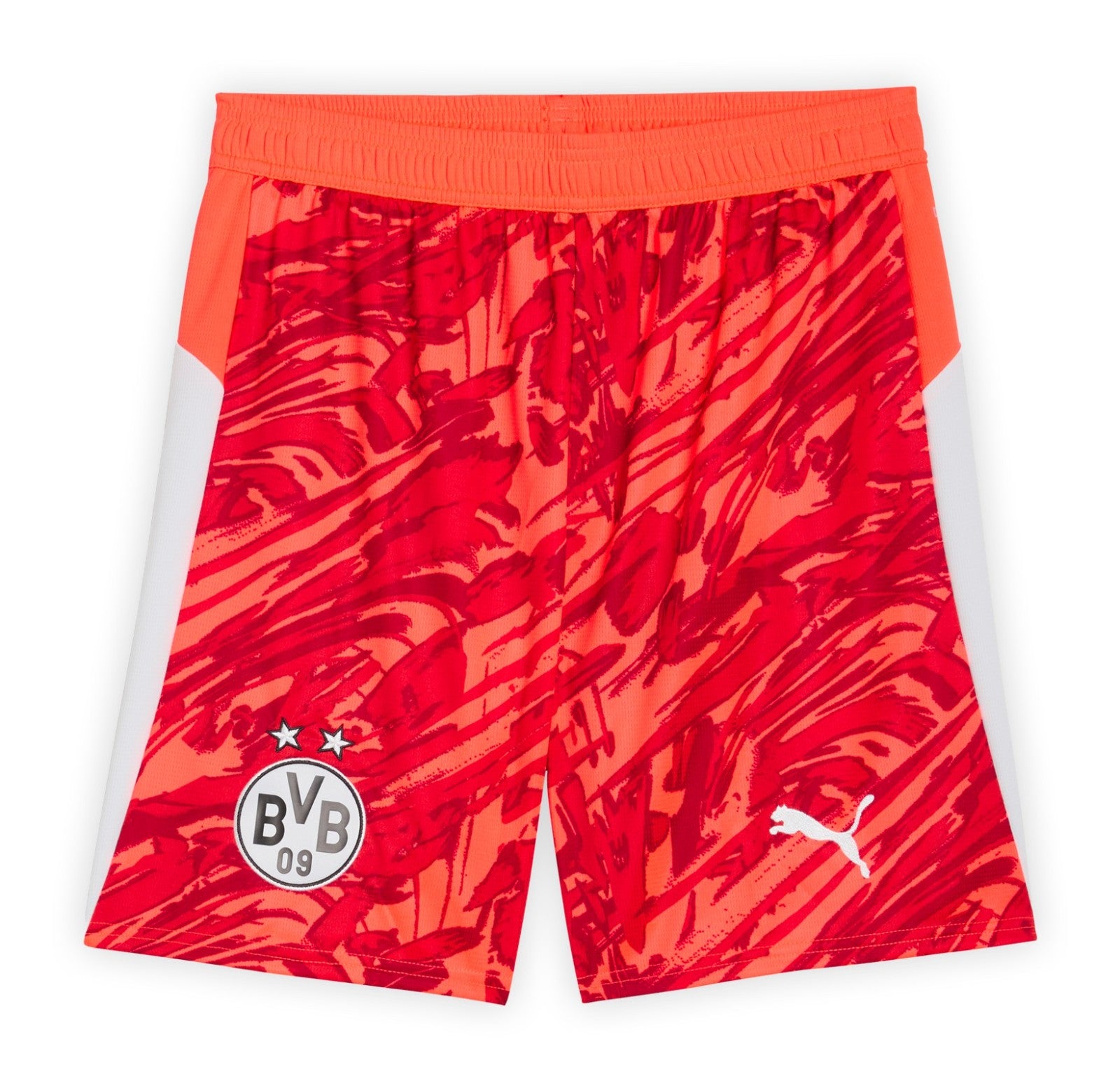 Borussia Dortmund 2025-26 Goalkeeper 2 Jersey image 3